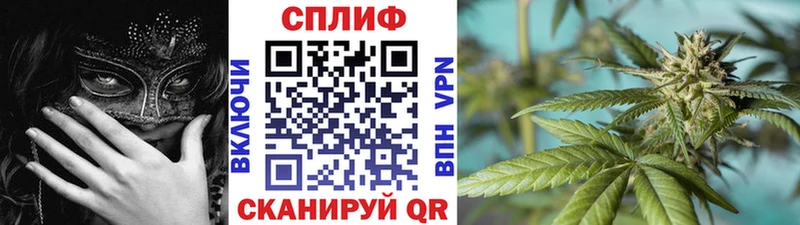 Шишки марихуана Amnesia  KRAKEN как войти  Павловская  где продают наркотики 